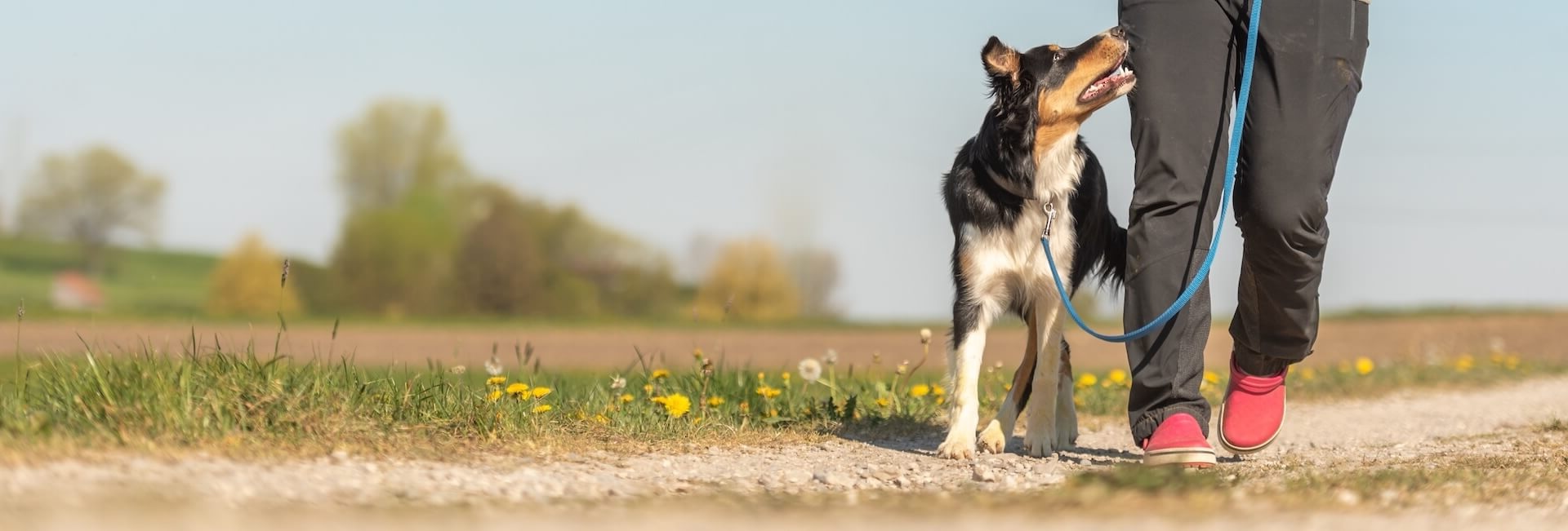 animal hospital in South Jordan UT 3