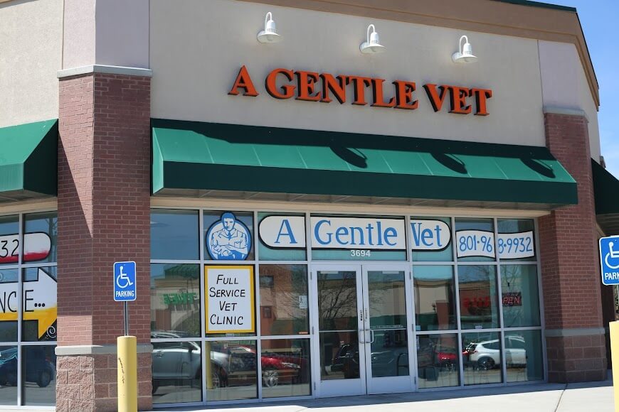 veterinarian in south Jordan UT